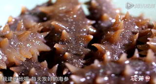 海參進(jìn)補(bǔ)從娃娃抓起，兒童吃海參的好處！