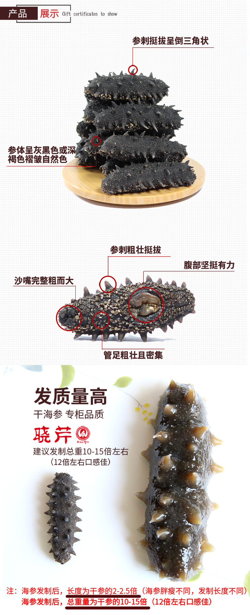 海參,干海參,大連海參,曉芹海參,海參品牌,遼刺參,海鮮水產 海參,干海參,大連海參,曉芹海參,海參品牌,遼刺參,海鮮水產