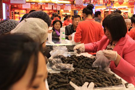 曉芹,海參,大連海參,遼寧海參,王曉芹 曉芹,海參,大連海參,遼寧海參,王曉芹