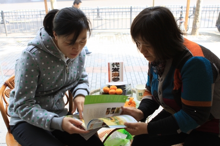 海參,曉芹海參,大連海參,上海曉芹海參專(zhuān)賣(mài)店