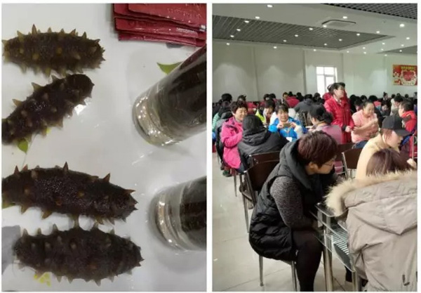 曉芹海參,海參,大連海參,遼寧海參,工廠參觀 曉芹海參,海參,大連海參,遼寧海參,工廠參觀