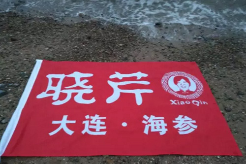 曉芹海參,遼寧海參,海參,大連海參,食品安全 曉芹海參,遼寧海參,海參,大連海參,食品安全