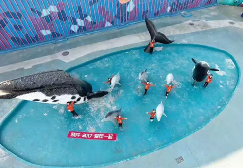 曉芹海參,遼寧海參,海參,大連海參,經銷商大會 曉芹海參,遼寧海參,海參,大連海參,經銷商大會