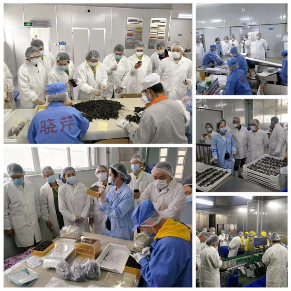 大連海參,曉芹海參,海參,食品協會,食品,考察.jpg 大連海參,曉芹海參,海參,食品協會,食品,考察.jpg